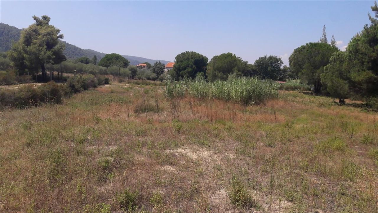 Land in Sithonia, Greece, 6 013 m² - picture 5