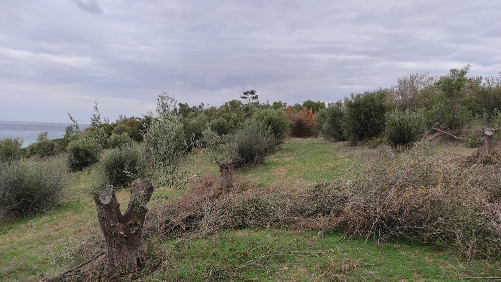 Terreno en Calcídica, Grecia, 1 625 m² - imagen 5