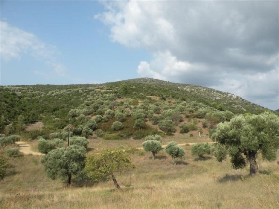 Land in Sithonia, Greece, 7 500 m² - picture 5