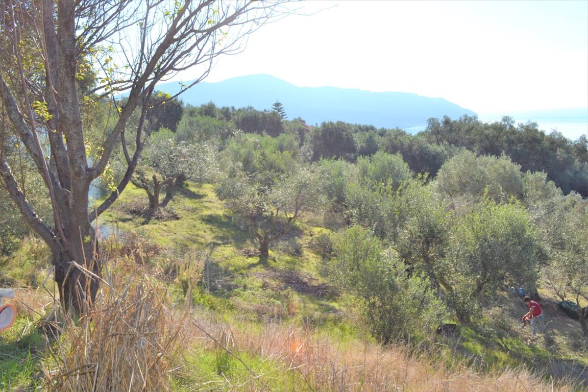 Terreno a Corfù, Grecia, 8 841 m2 - foto 5