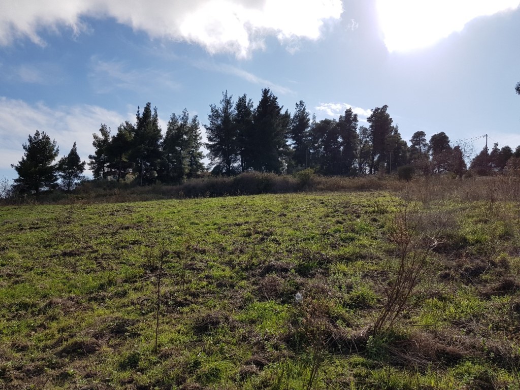 Land in Kassandra, Greece, 1 912 m² - picture 5