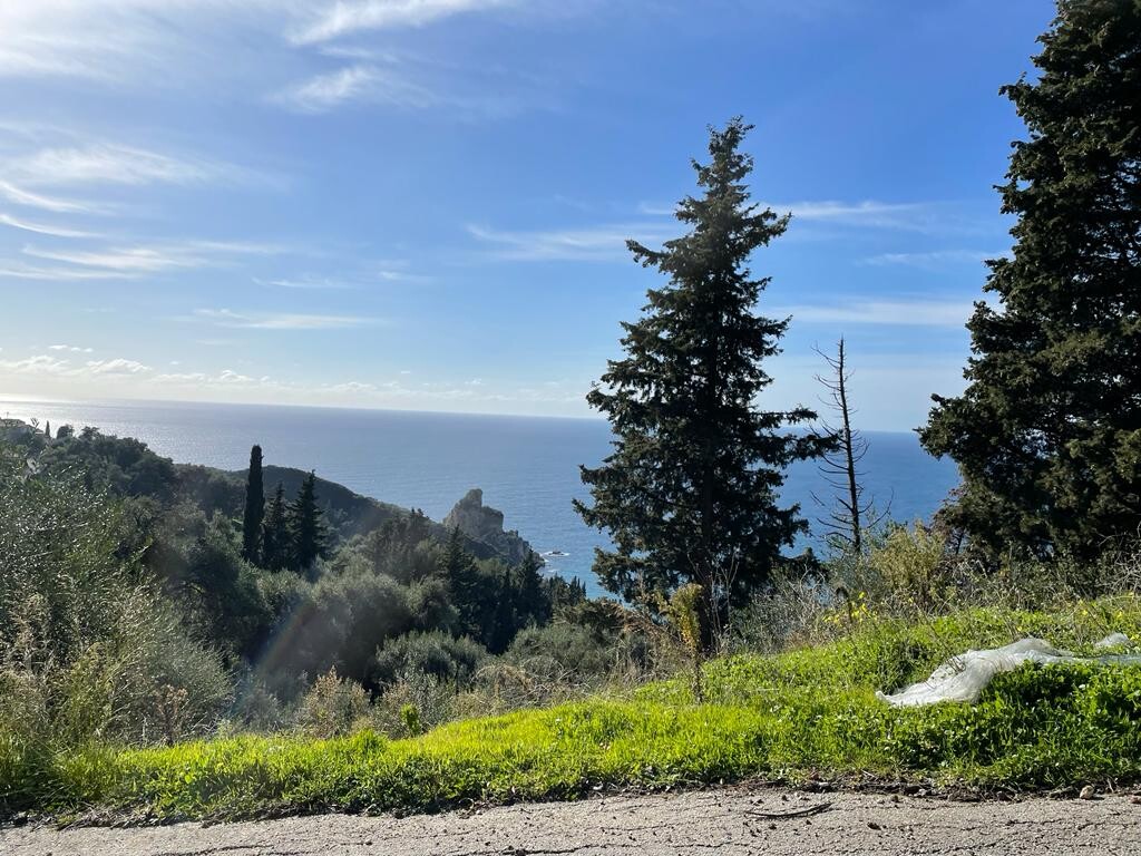 Land in Corfu, Greece, 4 000 m² - picture 5