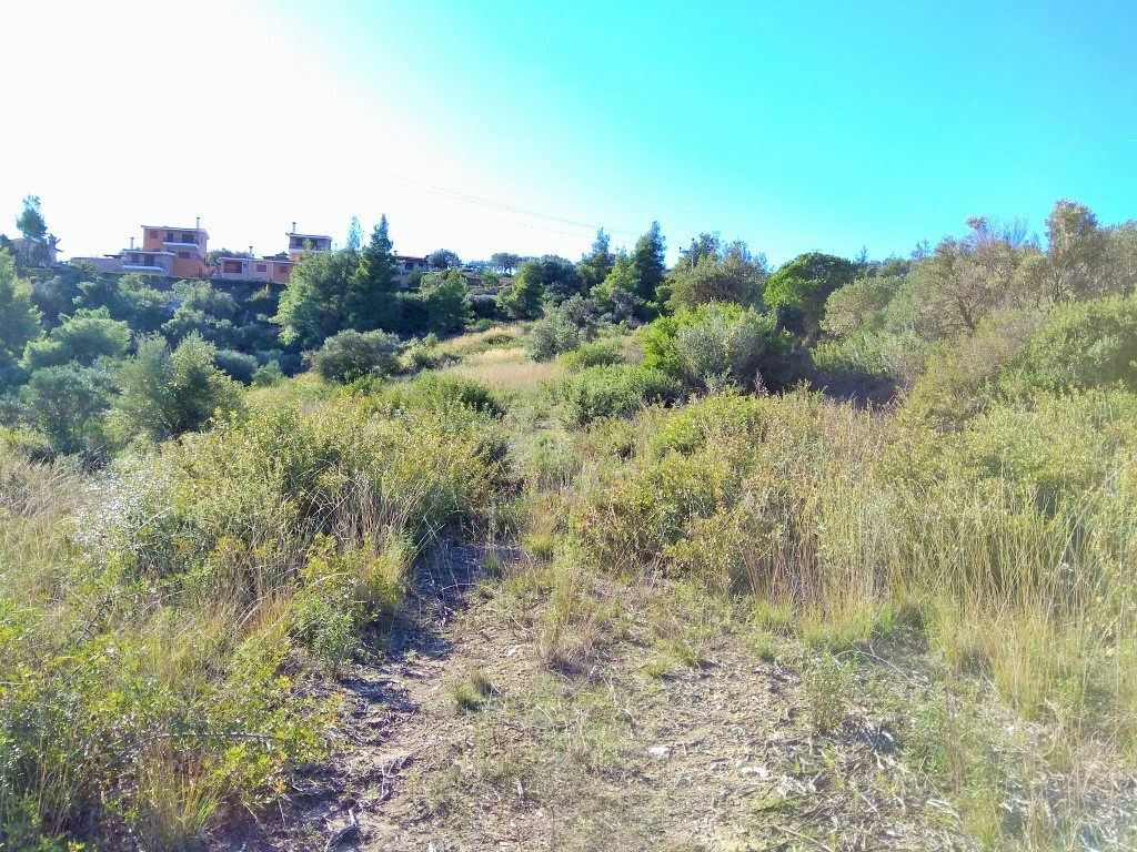 Terrain en Sithonie, Grèce, 36 000 m² - image 5