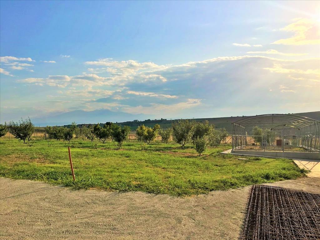 Casa en Salónica, Grecia, 410 m² - imagen 5