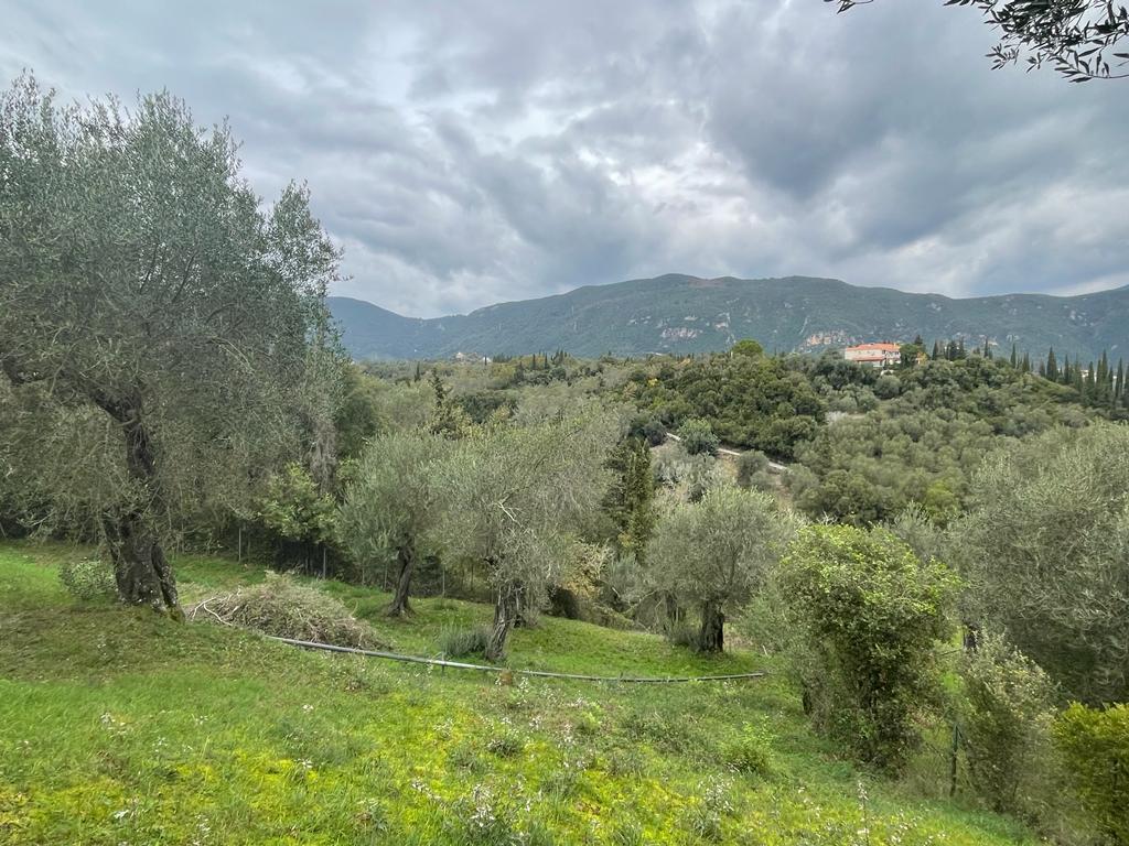 Land in Corfu, Greece, 2 463 m² - picture 5