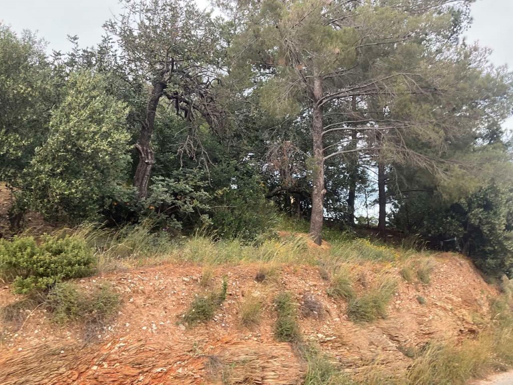 Terreno en Heraclión, Grecia, 3 750 m² - imagen 5