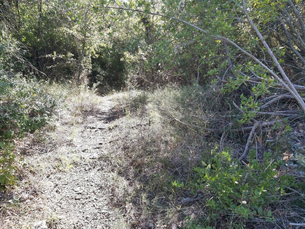 Land in Corfu, Greece, 48 000 m² - picture 5