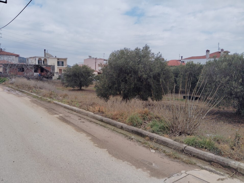 Terreno en Sitonia, Grecia, 1 305 m² - imagen 5