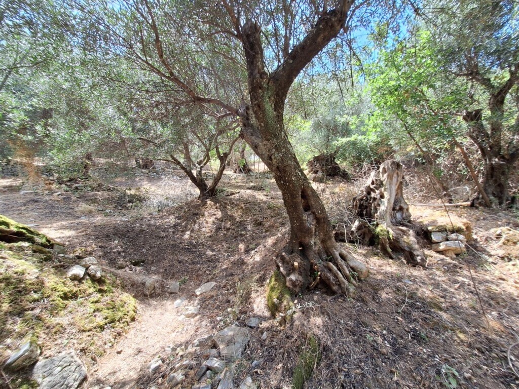 Terrain à Corfou, Grèce, 2 100 m² - image 5