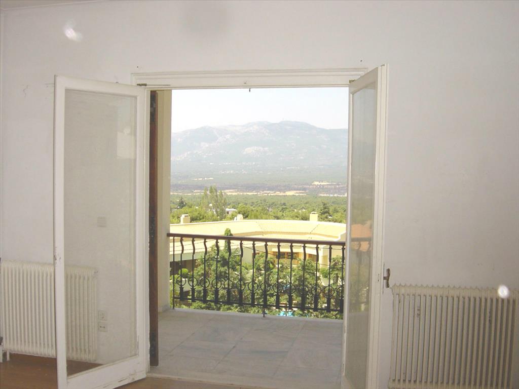 House in Athens, Greece, 600 m² - picture 5