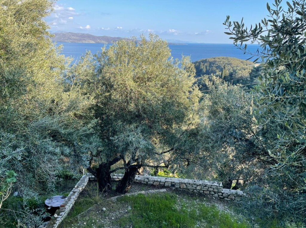 Grundstück in Korfu, Griechenland, 5 000 m² - Foto 5
