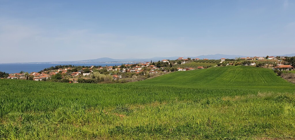 Land in Kassandra, Greece, 10 500 m² - picture 5