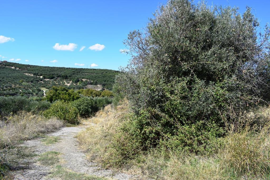 Terrain à Héraklion, Grèce, 2 010 m² - image 5
