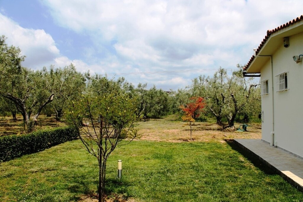 Land in Sithonia, Greece, 19 000 m² - picture 5