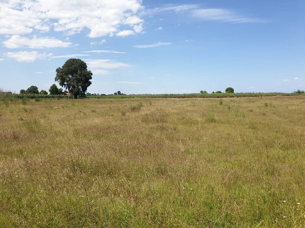 Grundstück in Olympiaki Akti, Griechenland, 12 955 m² - Foto 5