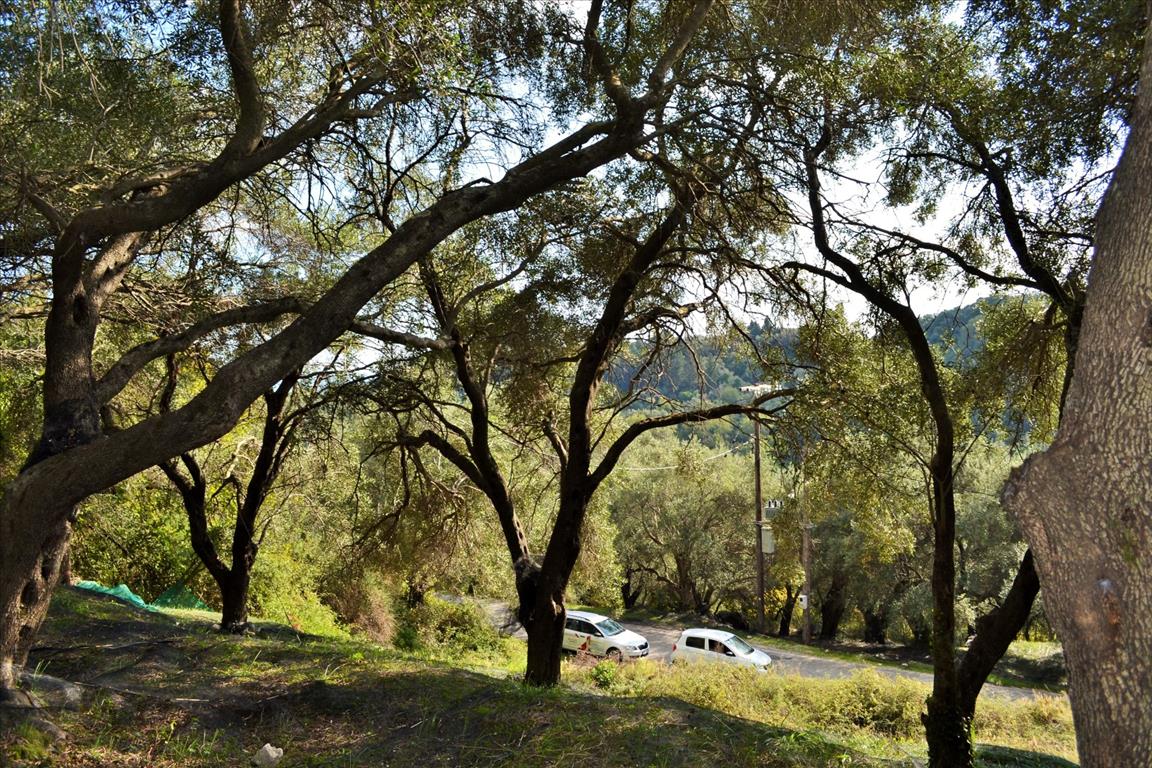 Terreno a Corfù, Grecia, 14 530 m2 - foto 5