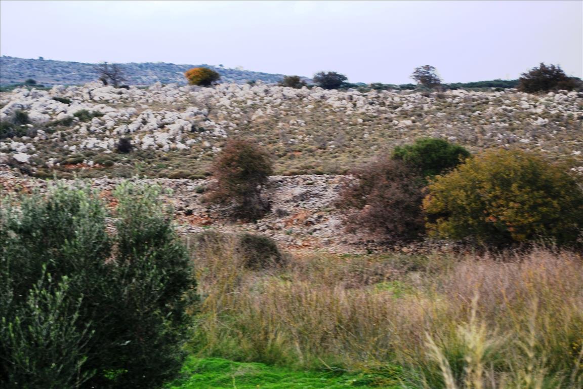 Land in Heraklion, Greece, 8 500 m² - picture 5