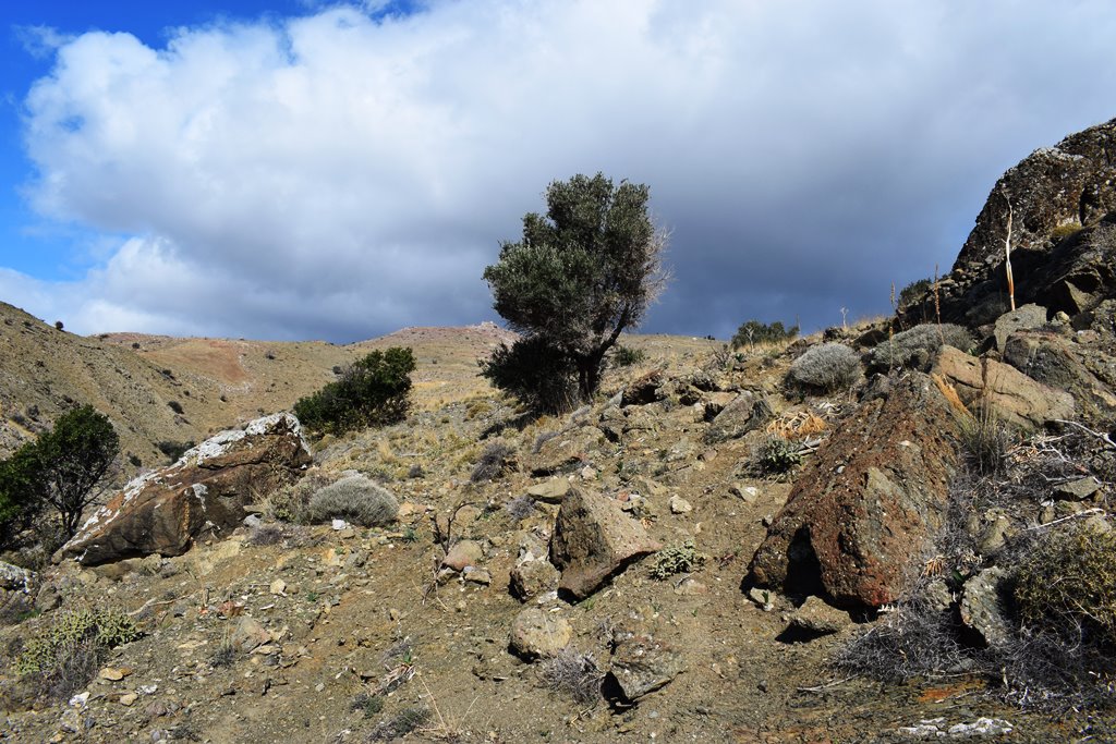 Terreno a Heraklion, Grecia, 43 000 m2 - foto 5