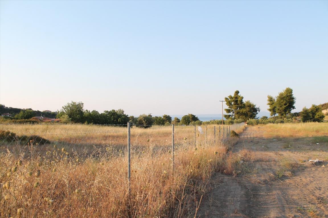 Land in Kassandra, Greece, 12 000 m² - picture 5