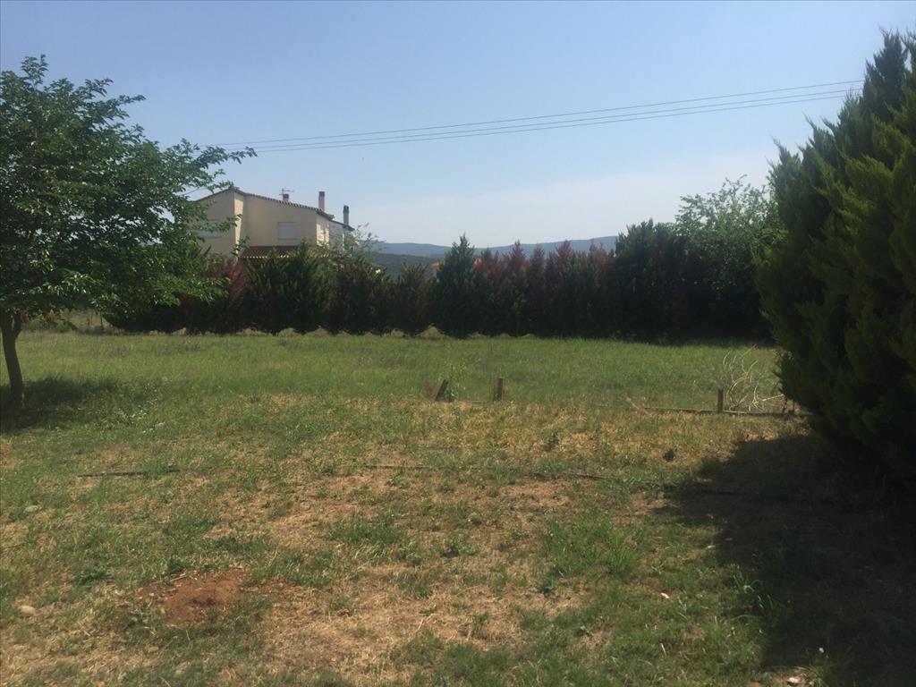 House in Chalkidiki, Greece, 180 m² - picture 5