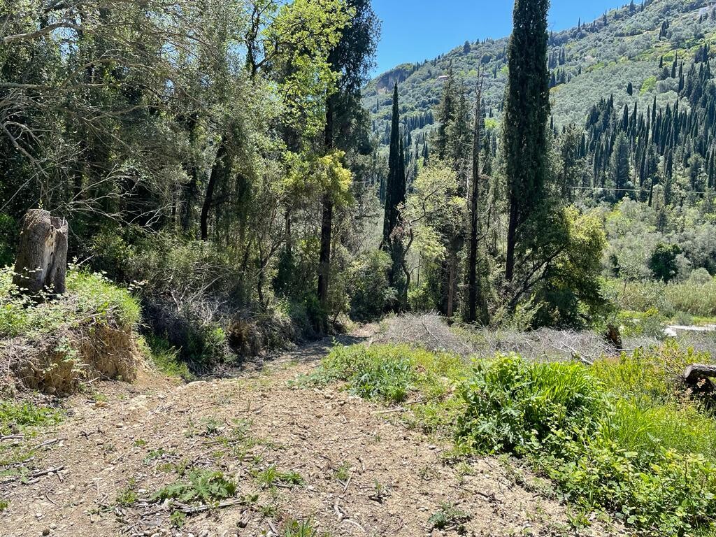 Terreno en Corfú, Grecia, 8 500 m² - imagen 5