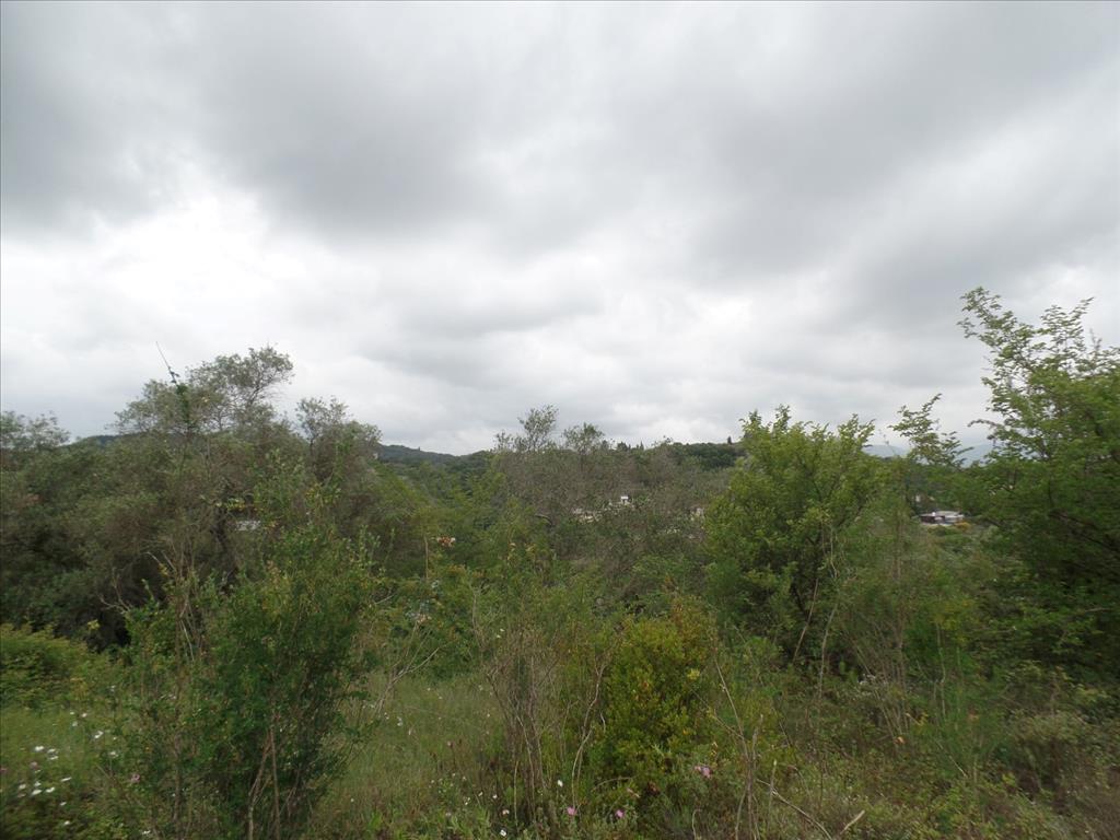 Land in Corfu, Greece, 15 000 m² - picture 5