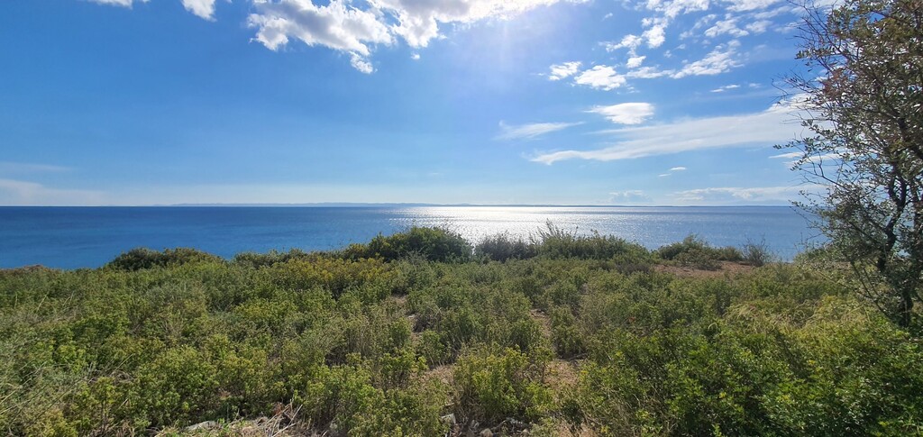 Terrain en Sithonie, Grèce, 4 913 m² - image 5