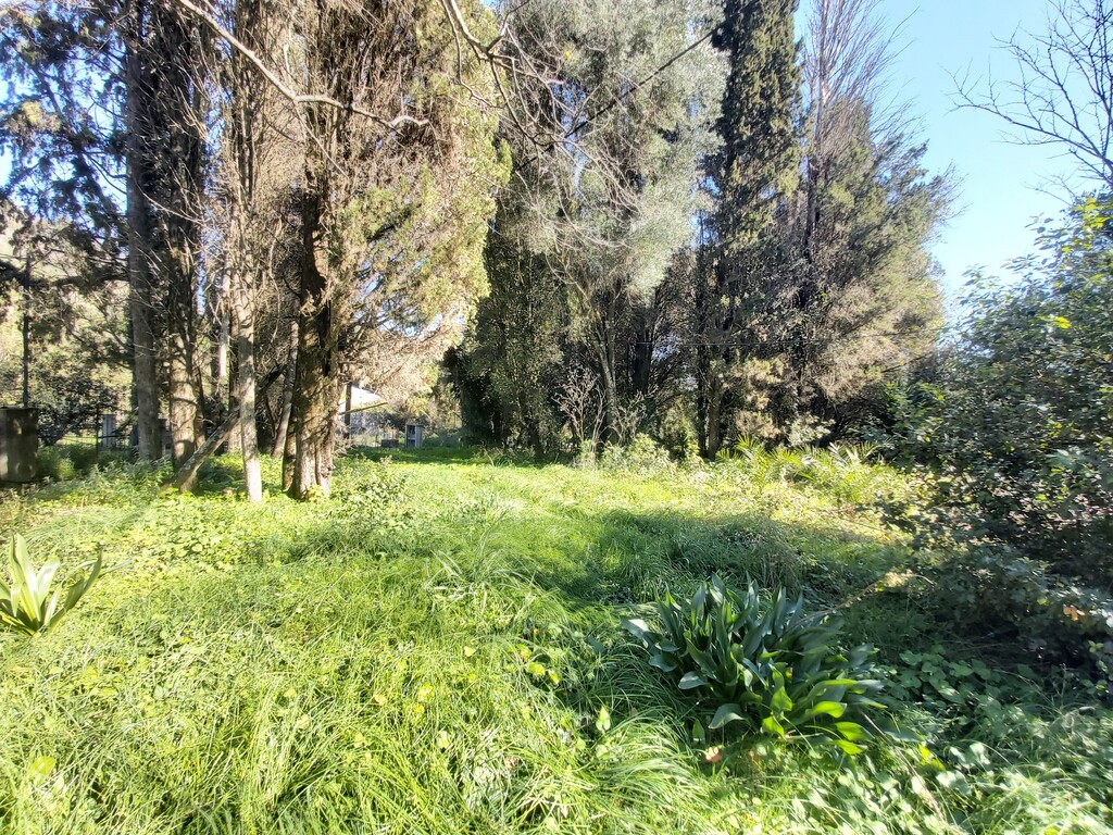 Land in Corfu, Greece, 2 770 m² - picture 5