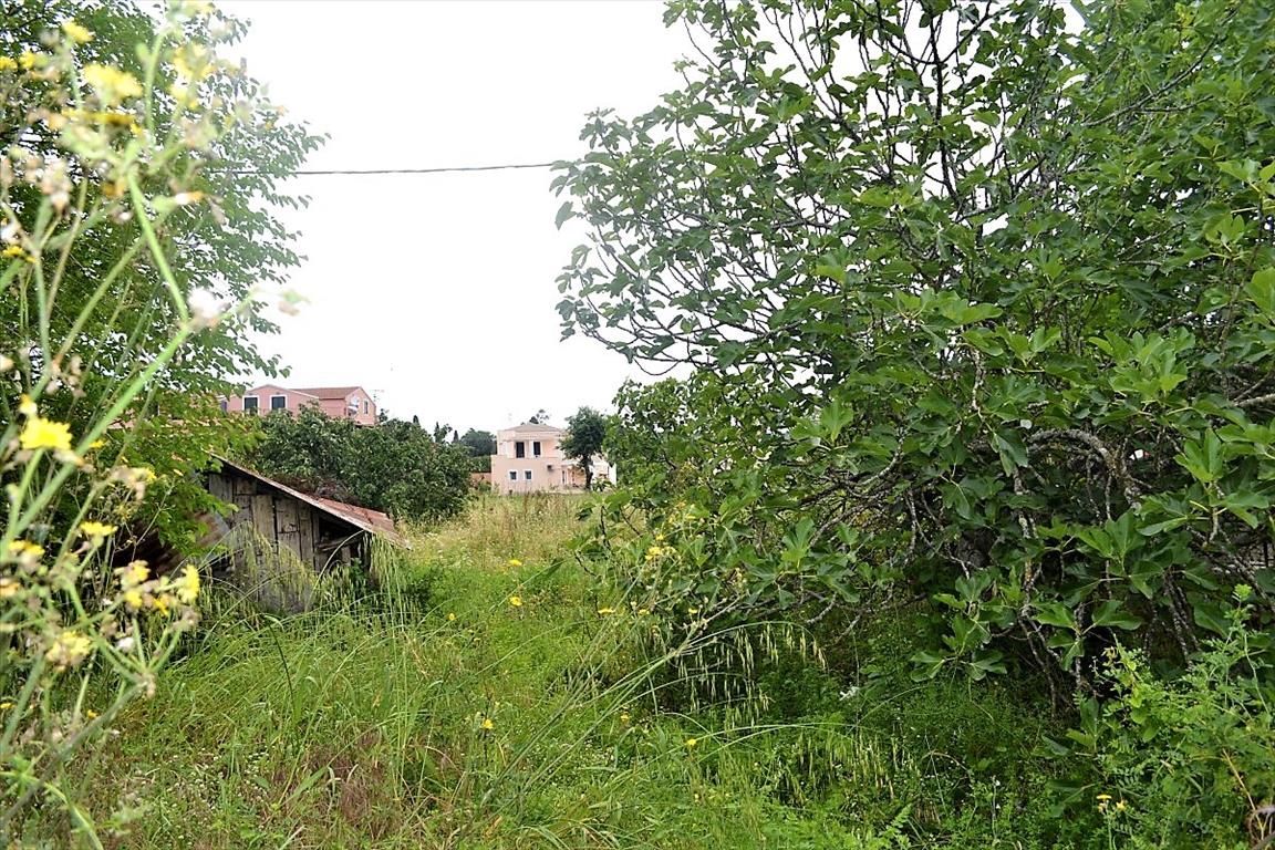 Maisonnette à Corfou, Grèce, 72 m² - image 5