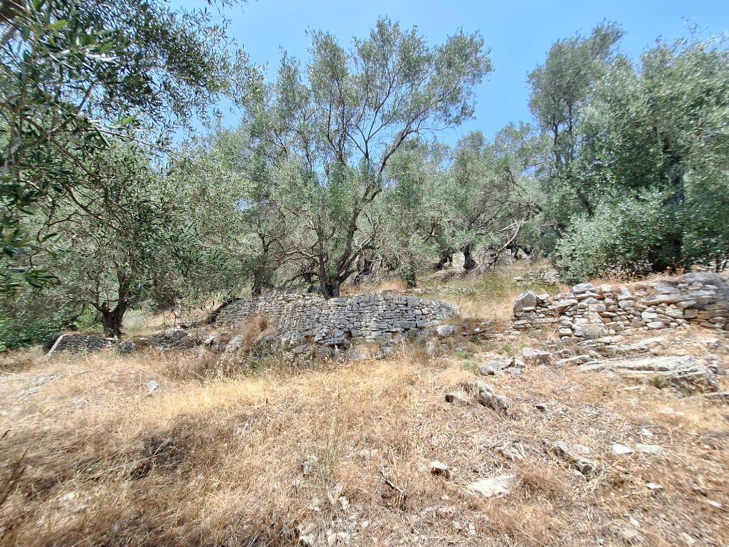 Terrain à Corfou, Grèce, 6 000 m² - image 5