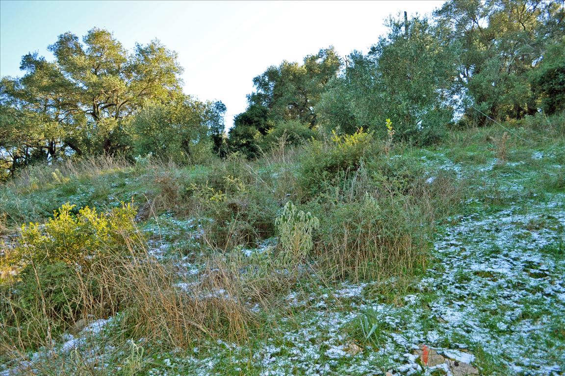 Terreno a Corfù, Grecia, 7 000 m2 - foto 5