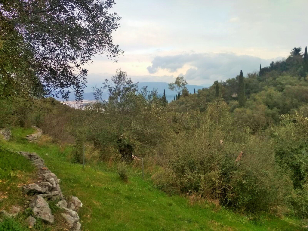 Land in Corfu, Greece, 4 363 m² - picture 5