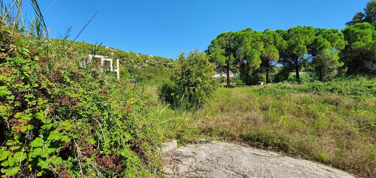 Land in Sithonia, Greece, 2 000 m² - picture 5