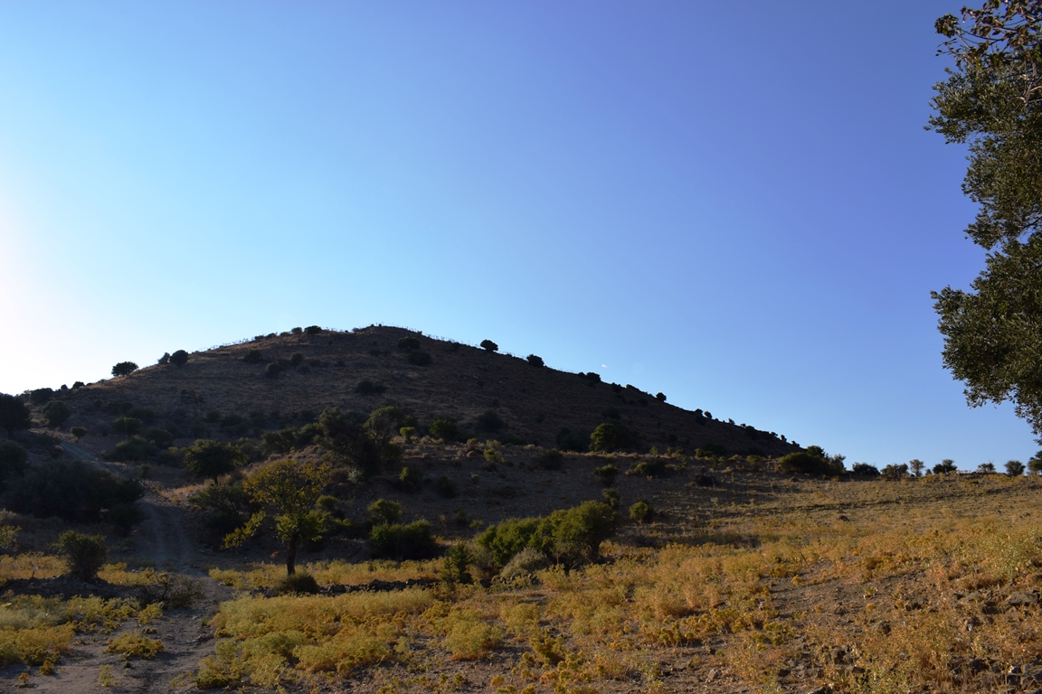 Land in Heraklion, Greece, 60 000 m² - picture 5