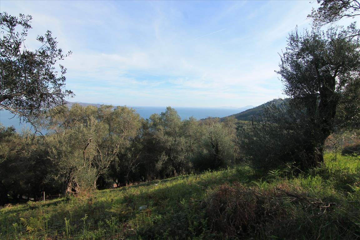 Terreno en Corfú, Grecia, 2 400 m² - imagen 5