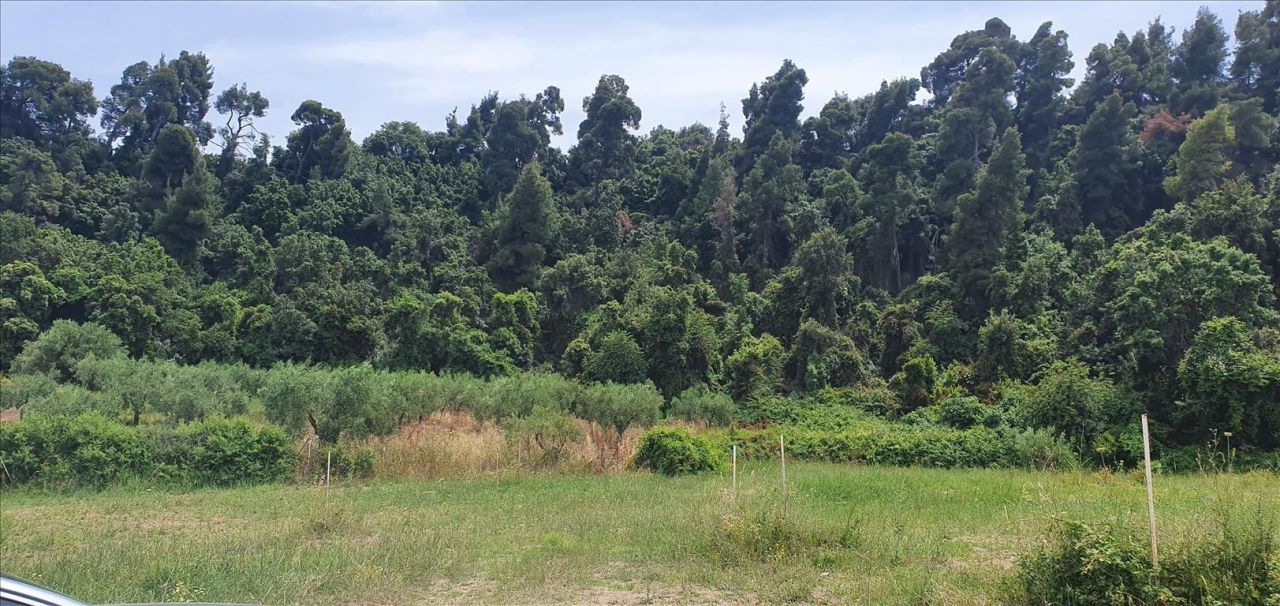 Terreno en Kassandra, Grecia, 5 786 m² - imagen 5