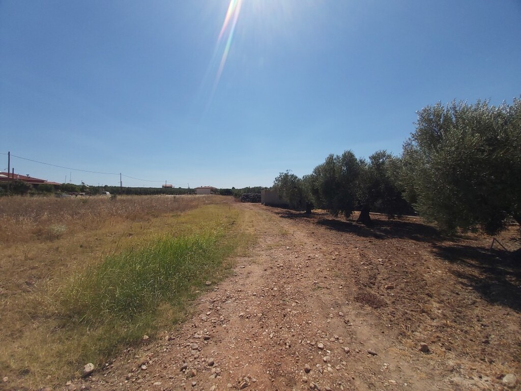 Grundstück in Sithonia, Griechenland, 12 300 m² - Foto 5