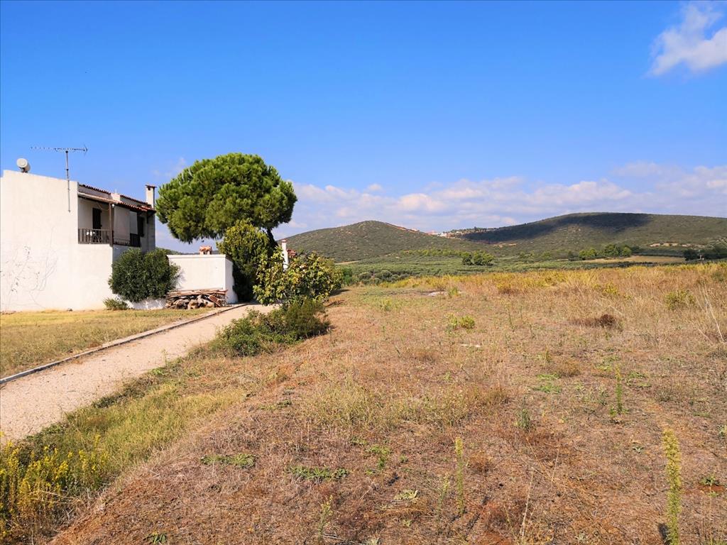 Terreno en Sitonia, Grecia, 30 600 m² - imagen 5