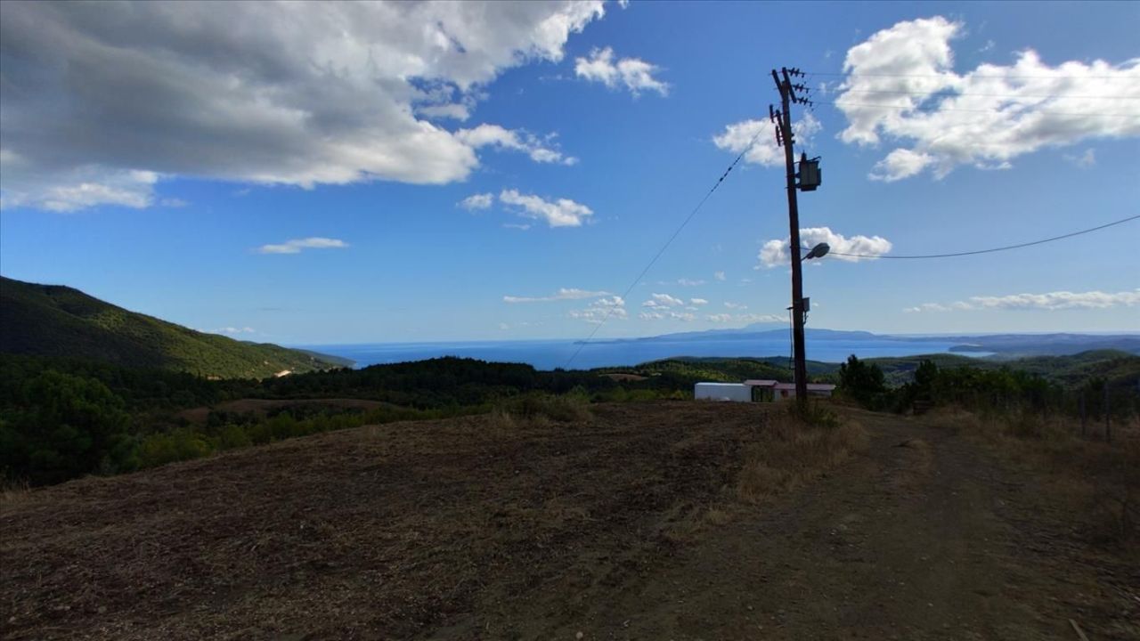 Terreno en Calcídica, Grecia, 50 000 m² - imagen 5