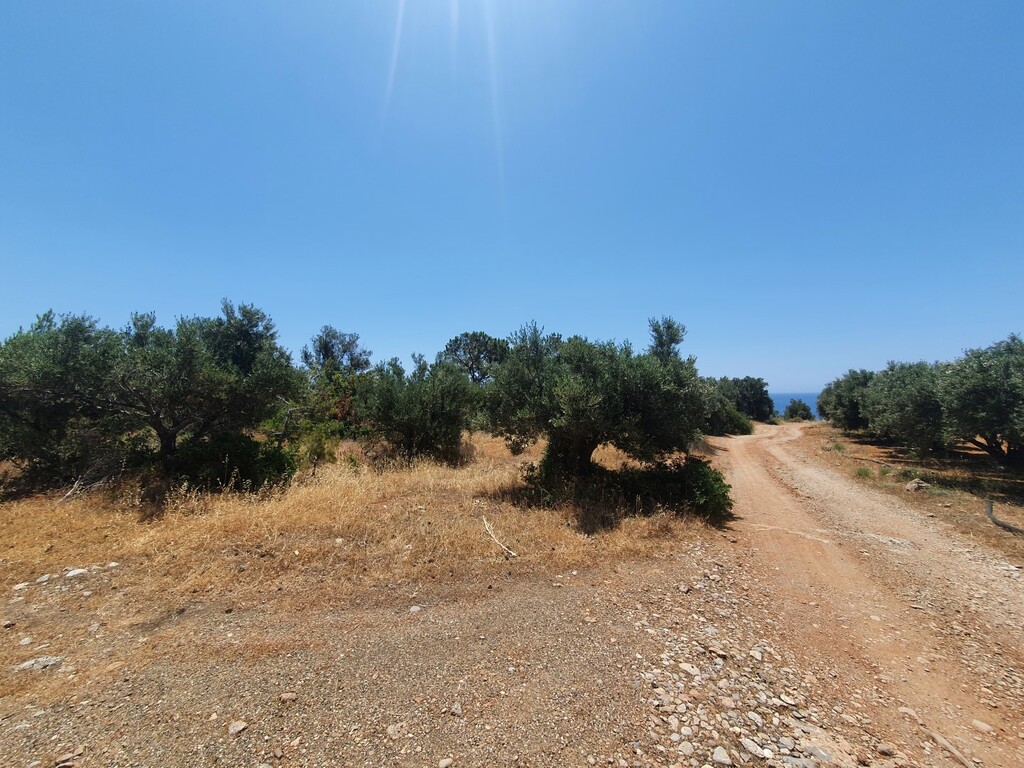 Land in Heraklion, Greece, 9 068 m² - picture 5