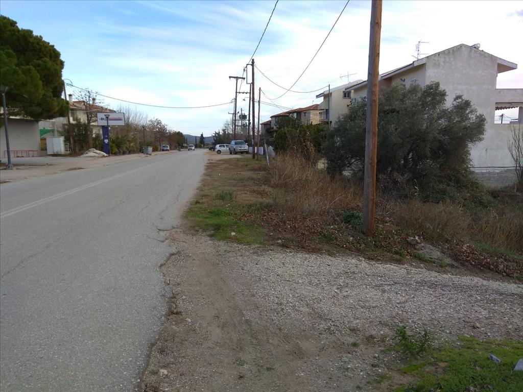 Terreno a Sithonia, Grecia, 1 800 m2 - foto 5