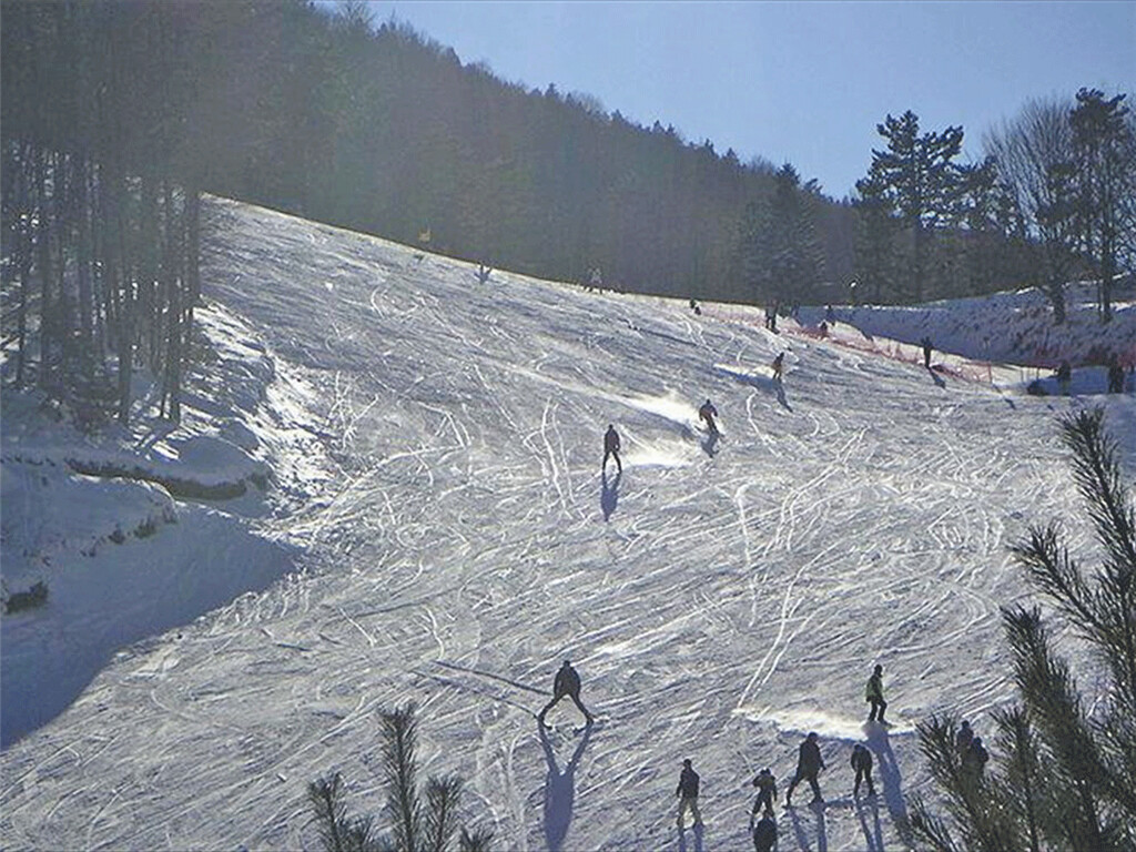 Terreno a Olympiaki Akti, Grecia, 6 890 m2 - foto 5