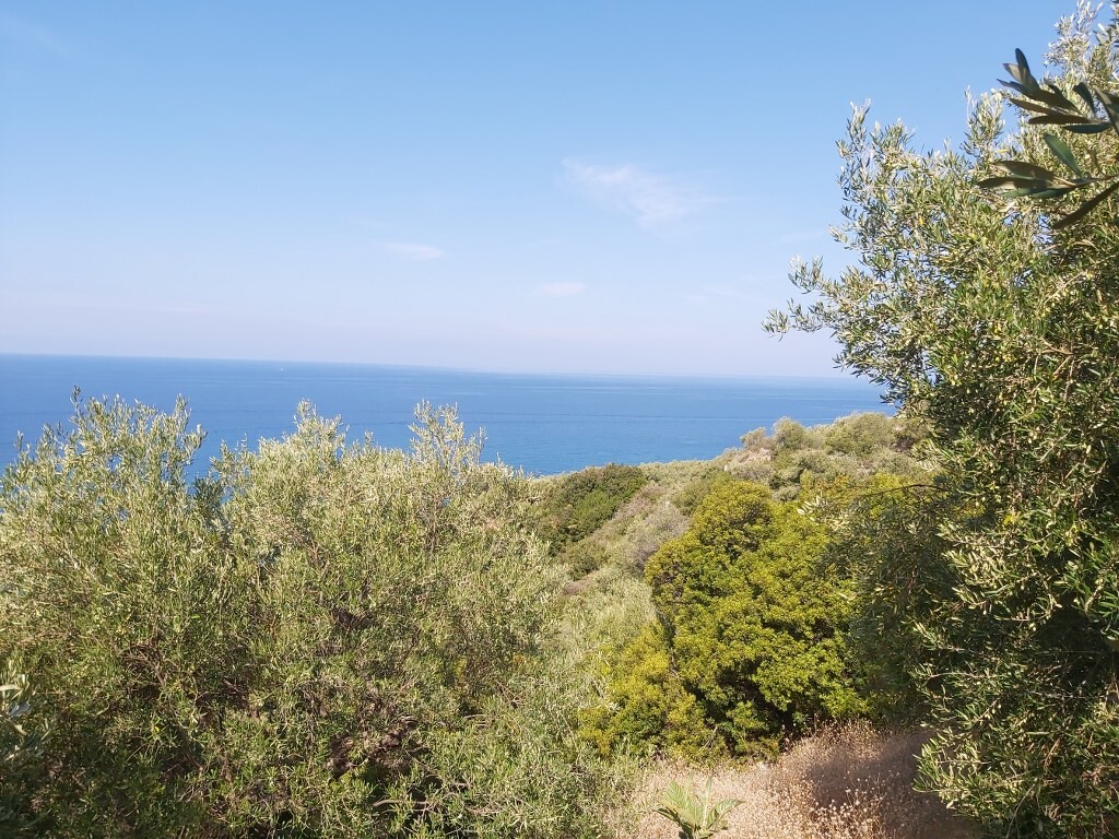 Terreno a Corfù, Grecia, 8 600 m2 - foto 5