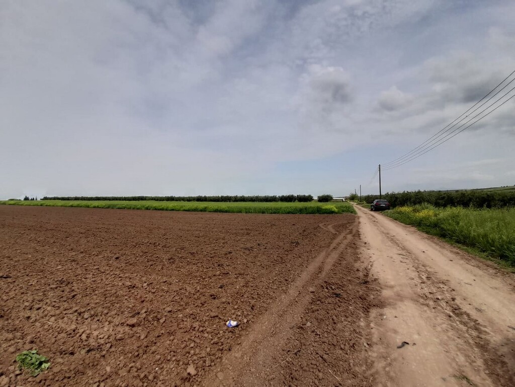 Terrain en Chalcidique, Grèce, 8 628 m² - image 5