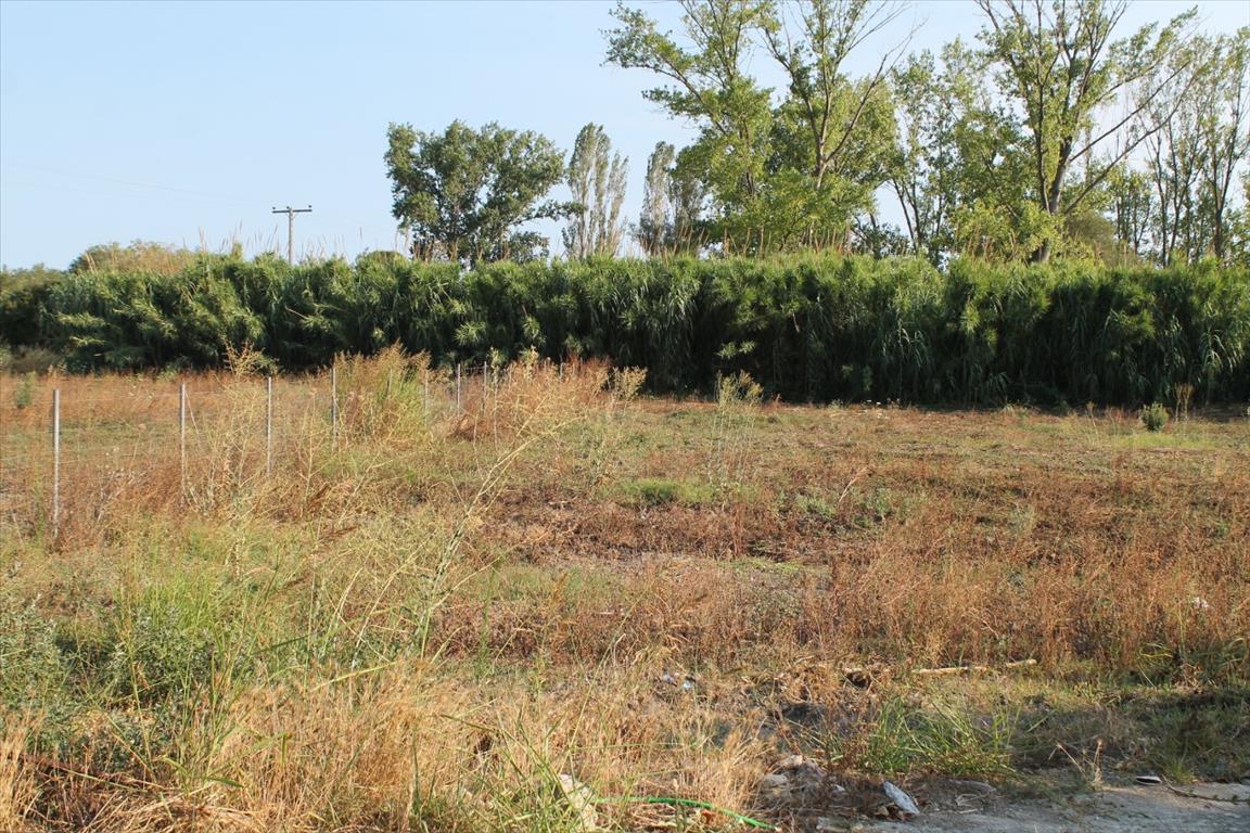 Land in Kassandra, Greece, 2 500 m² - picture 5
