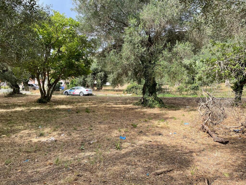 Grundstück in Korfu, Griechenland, 5 020 m² - Foto 5