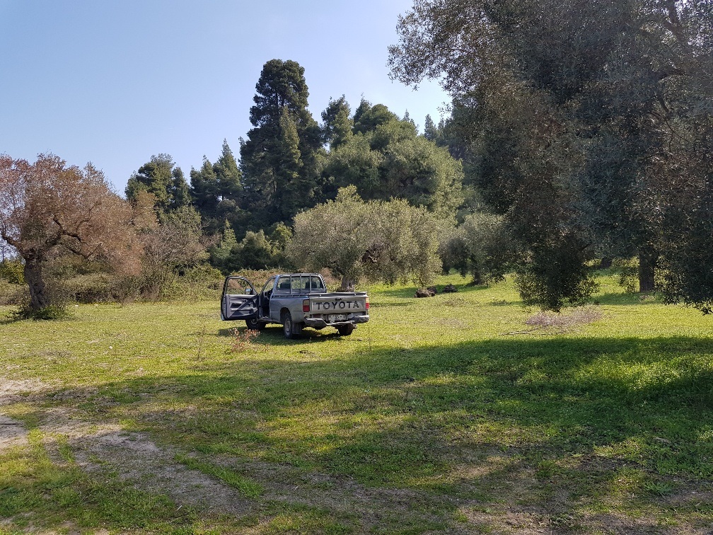 Terrain à Kassandra, Grèce, 4 300 m² - image 5