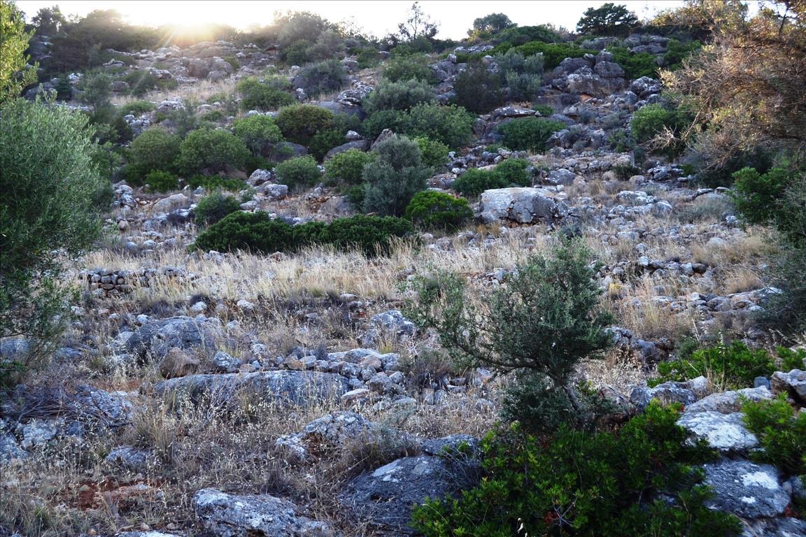 Terreno a Heraklion, Grecia, 10 270 m2 - foto 5