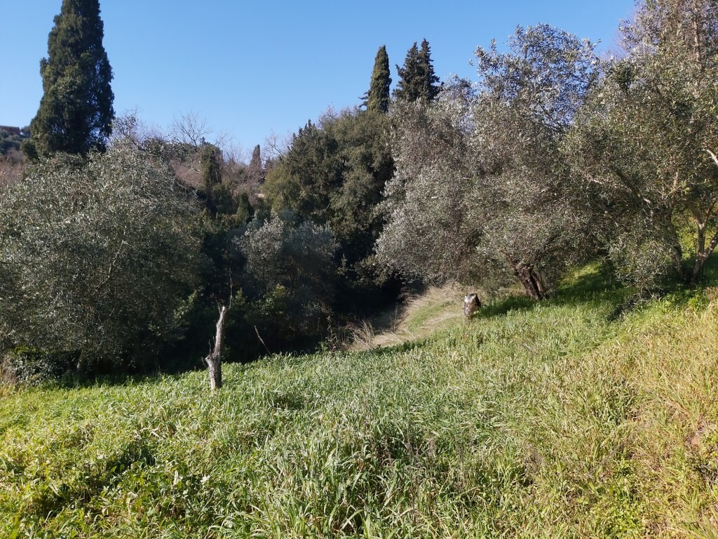 Terreno en Corfú, Grecia, 9 000 m² - imagen 5