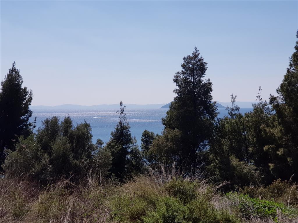 Villa in Sithonia, Greece, 300 m² - picture 5